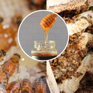 natural honey