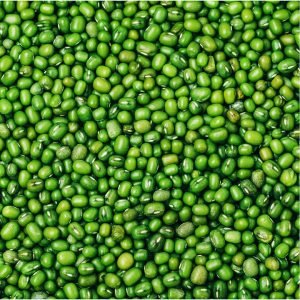 great mung beans