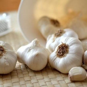 fresh garlic