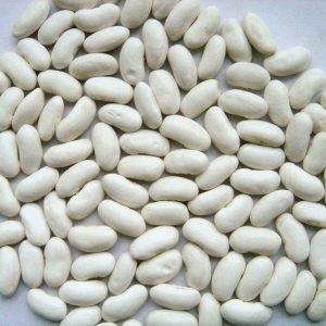 white kidney beans